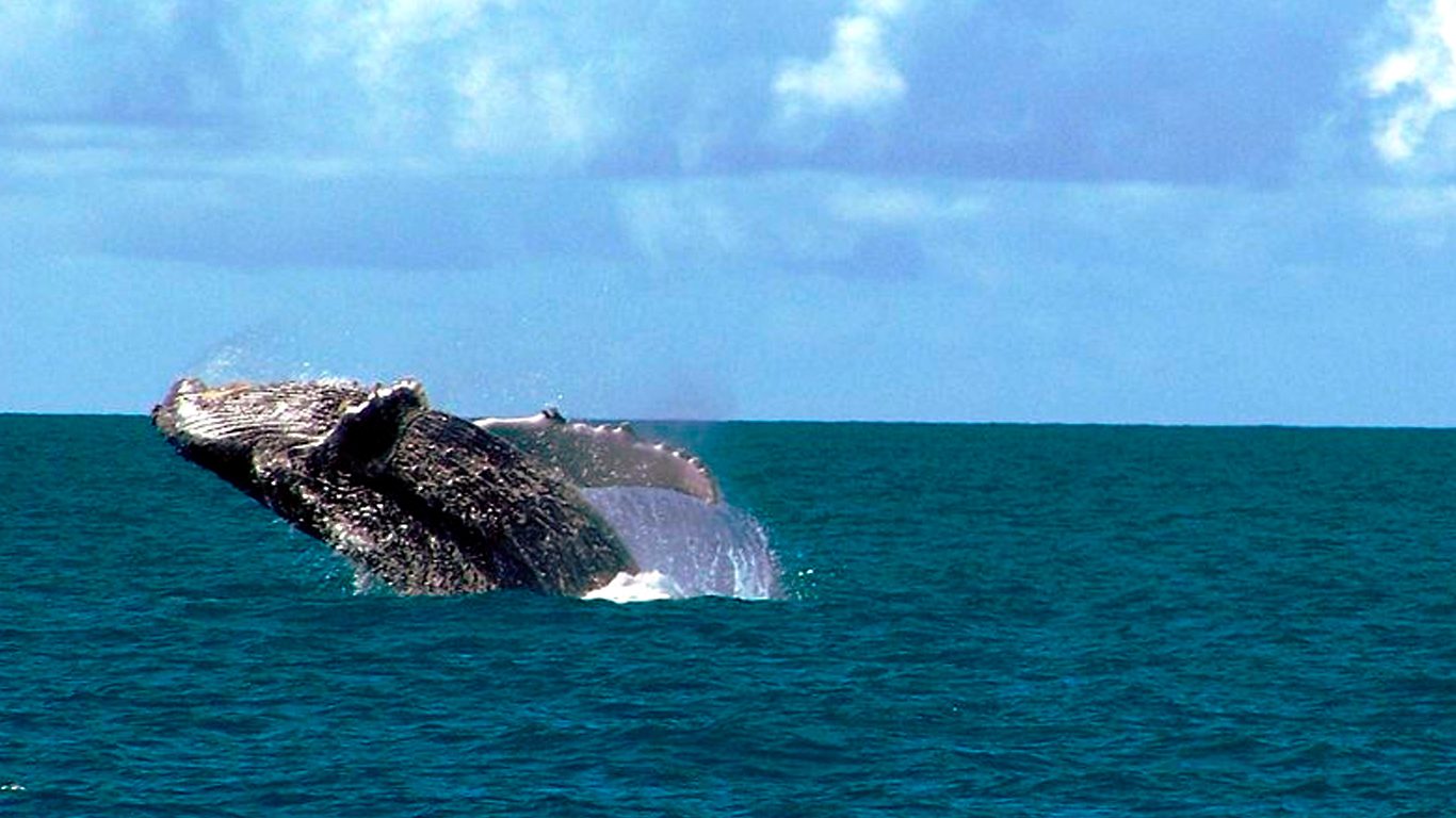  Dia do Professor - uma incrível jornada do conhecimento