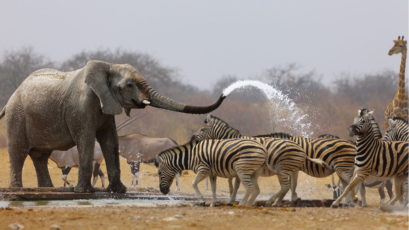 Namíbia: um dos países menos povoados do mundo guarda surpresas inesquecíveis