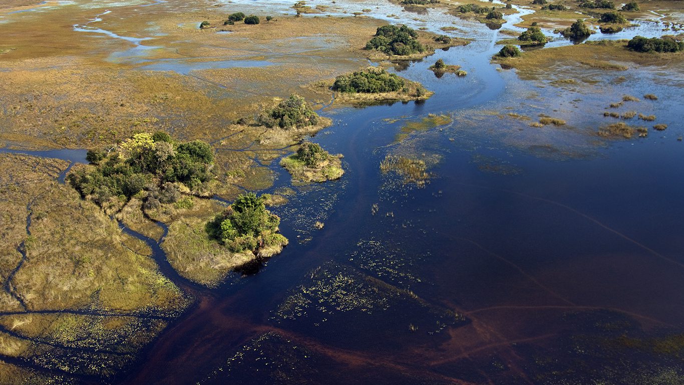 Botswana: A vida selvagem preservada sob leis rígidas