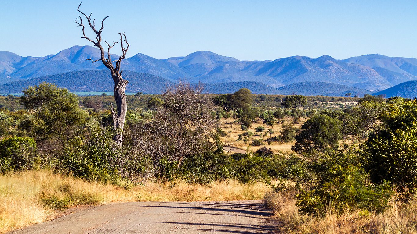 Conheça o Kruger Park, na África do Sul: um dos mais famosos do planeta
