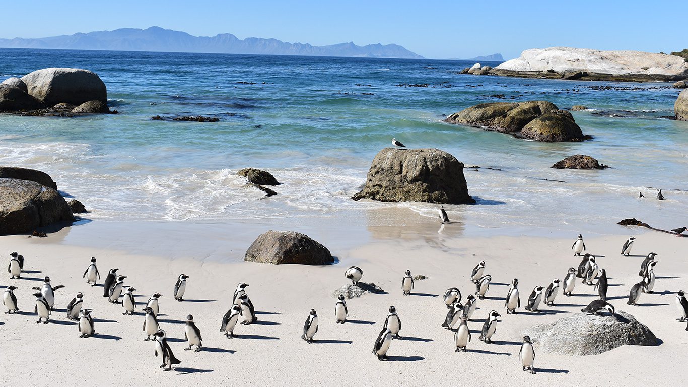 Conheça Cape Town, uma das joias da África do Sul