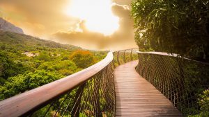 Conheça Cape Town, uma das joias da África do Sul