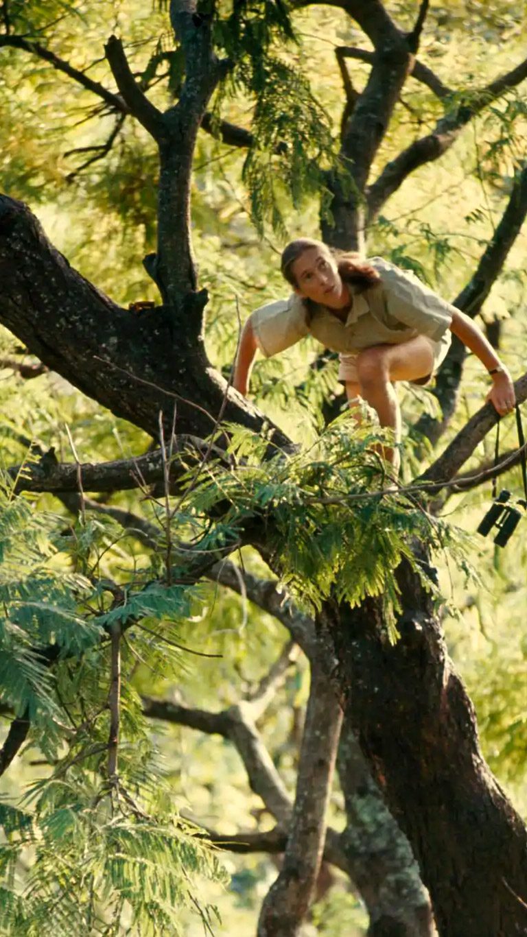 Jane Goodall: revoluções científicas, superações, lutas contra o preconceito e preservação dos Chimpanzés