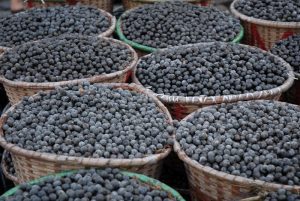Açaí