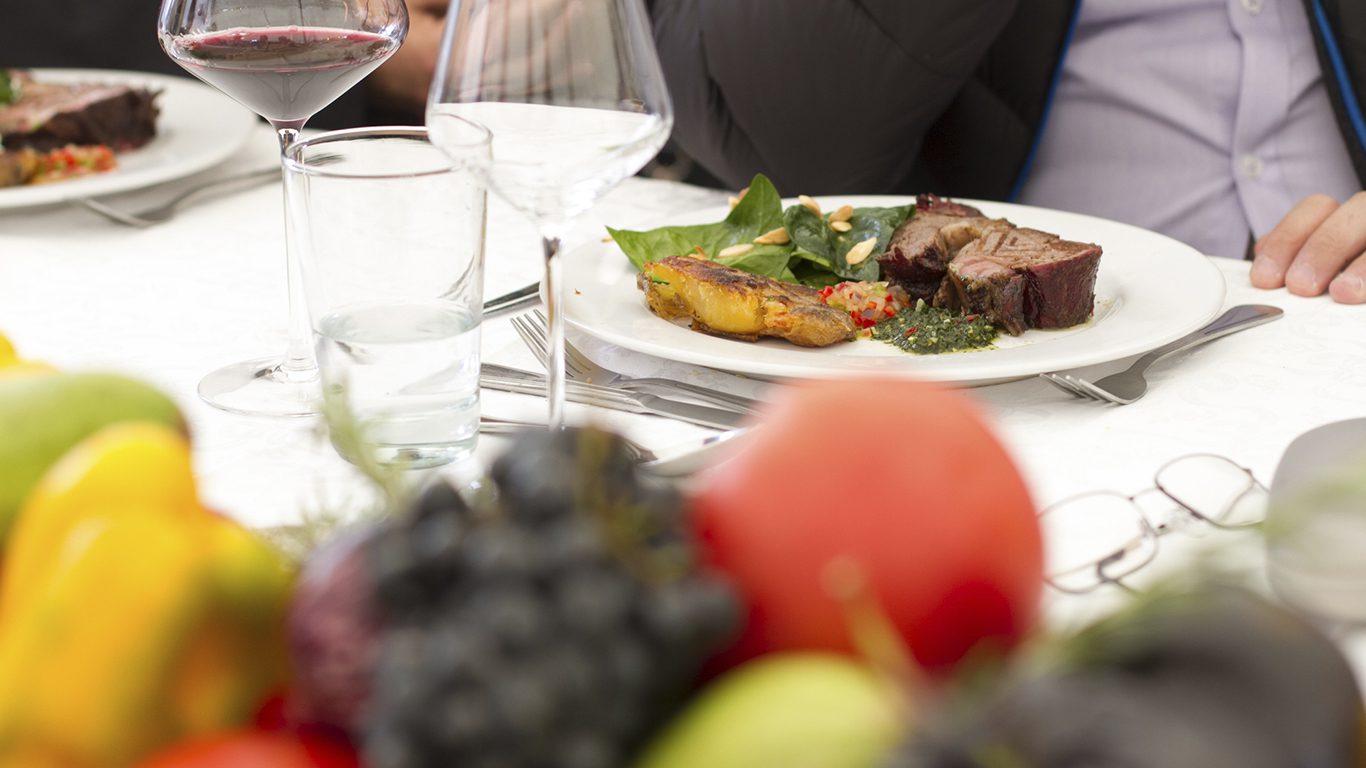 Embarque para conhecer a incrível vida marinha da Patagônia Argentina