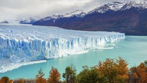 Embarque para conhecer a incrível vida marinha da Patagônia Argentina