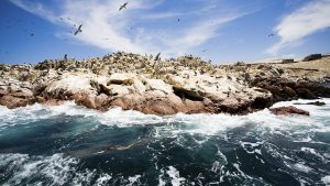 O Peru além de Machu Picchu (parte I)