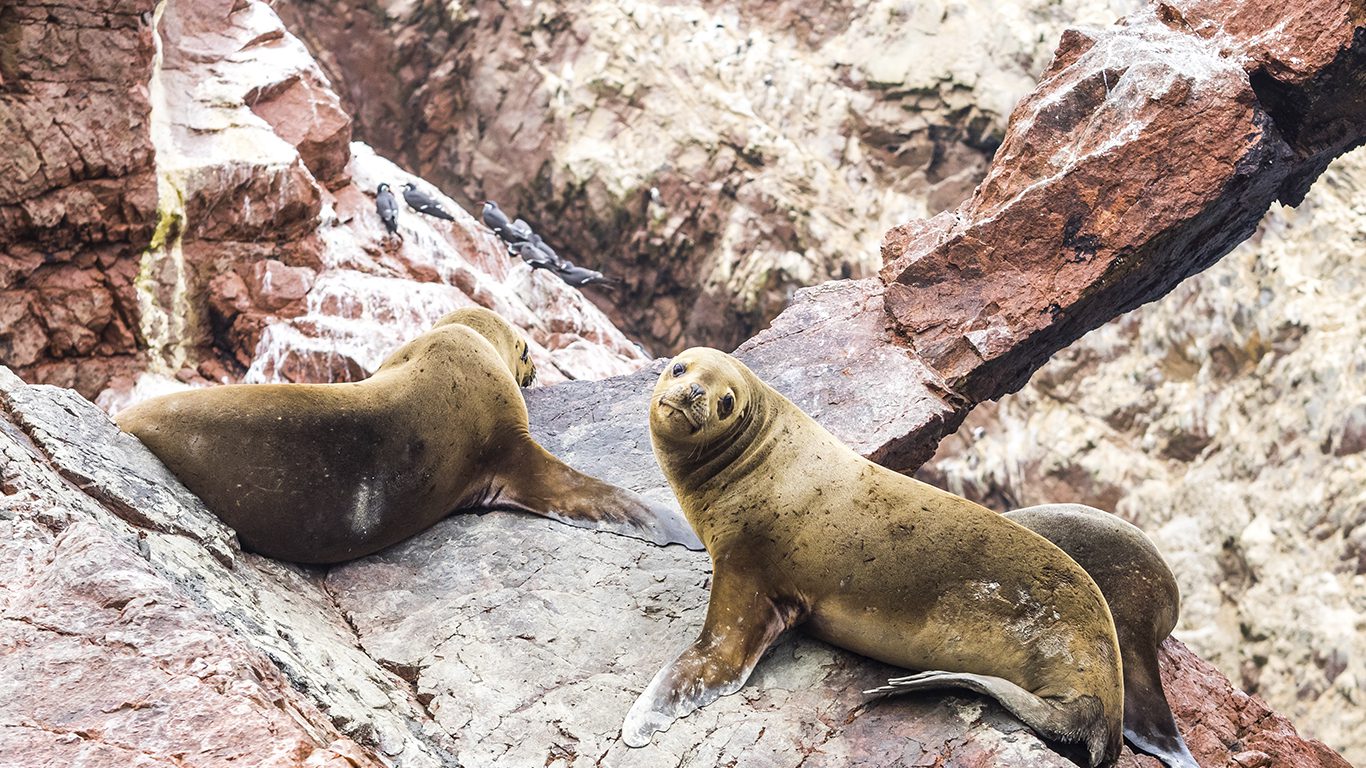O Peru além de Machu Picchu (parte I)