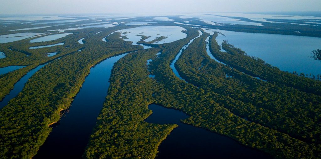 Blog Ambiental | Boto cor de rosa e as belezas da Amazônia
