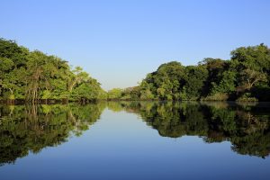 Cruzeiros Fluviais: uma forma especial de conhecer a Amazônia