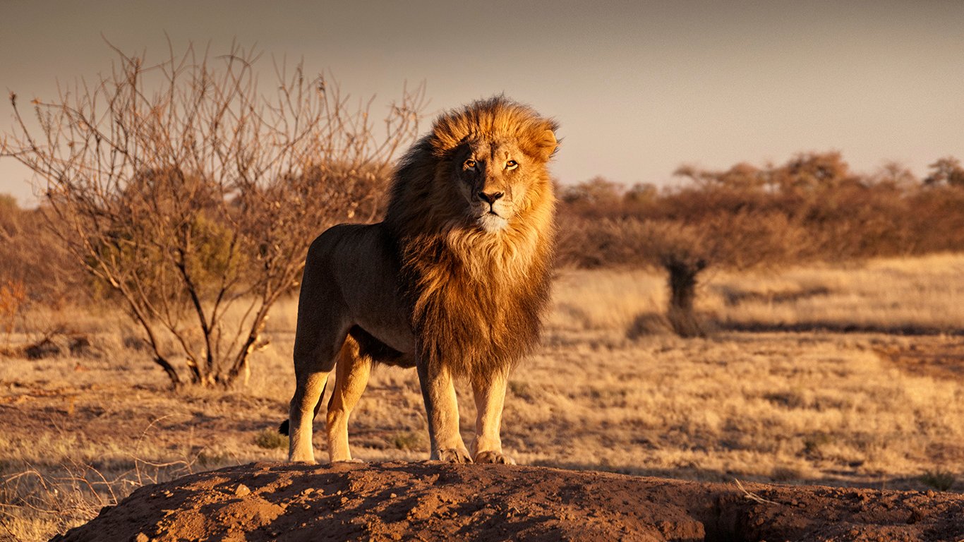 Namíbia: um dos países menos povoados do mundo guarda surpresas inesquecíveis