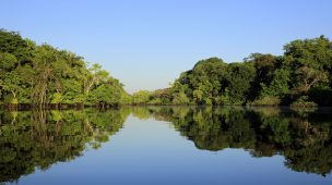 Cruzeiros Fluviais: uma forma especial de conhecer a Amazônia