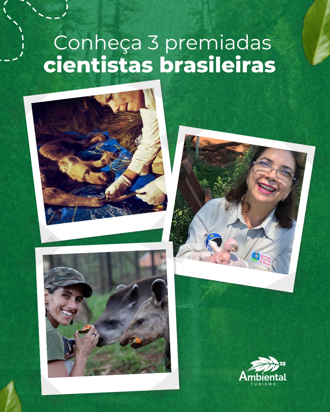 Conheça três premiadas cientistas brasileiras com trabalhos fundamentais para a conservação da natureza