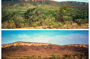 Estudo da USP contrapõe estereótipo de que a Caatinga é sinônimo de seca e escassez